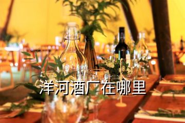 洋河酒廠在哪里