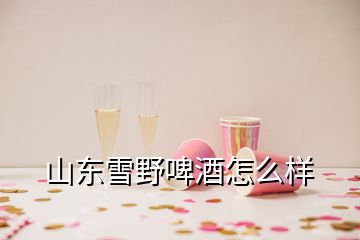 山東雪野啤酒怎么樣