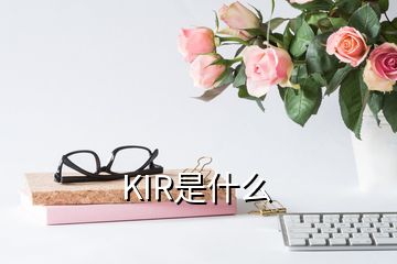 KIR是什么