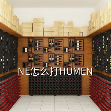 NE怎么打HUMEN