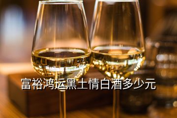 富裕鴻運黑土情白酒多少元