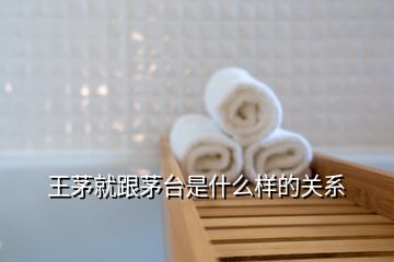 王茅就跟茅臺是什么樣的關(guān)系