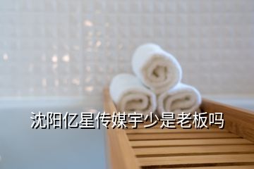 沈陽億星傳媒宇少是老板嗎