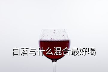 白酒與什么混合最好喝