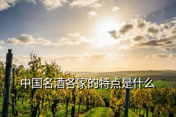 中國(guó)名酒各家的特點(diǎn)是什么