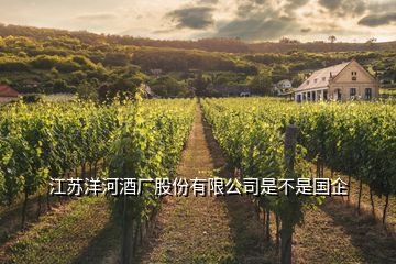 江蘇洋河酒廠股份有限公司是不是國企