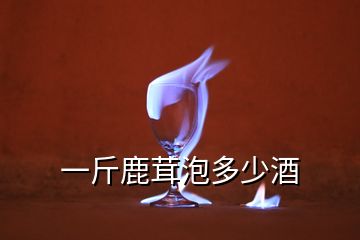 一斤鹿茸泡多少酒