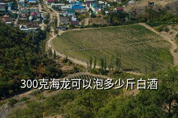 300克海龍可以泡多少斤白酒