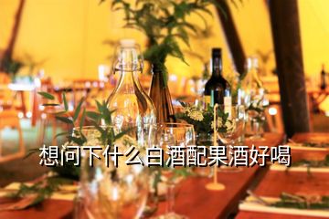 想問(wèn)下什么白酒配果酒好喝