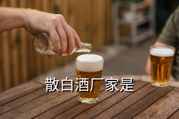 散白酒廠家是