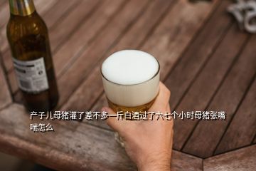 產(chǎn)子兒母豬灌了差不多一斤白酒過了六七個小時母豬張嘴喘怎么