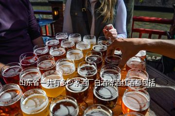 山東省一共有多少家酒廠白酒啤酒紅酒都包括