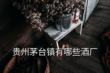 貴州茅臺(tái)鎮(zhèn)有哪些酒廠(chǎng)