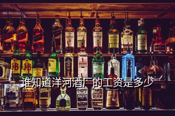 誰(shuí)知道洋河酒廠的工資是多少