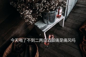 今天喝了不到二兩白酒腳痛是痛風嗎