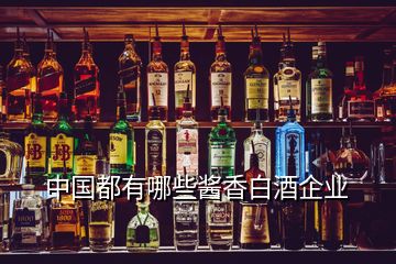 中國都有哪些醬香白酒企業(yè)