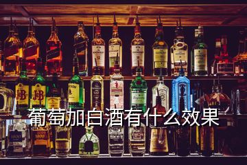 葡萄加白酒有什么效果