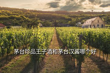 茅臺珍品王子酒和茅臺漢醬哪個好
