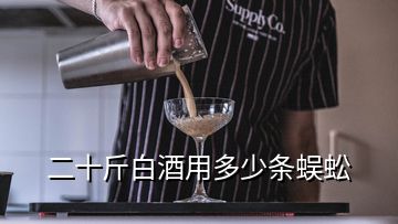 二十斤白酒用多少條蜈蚣