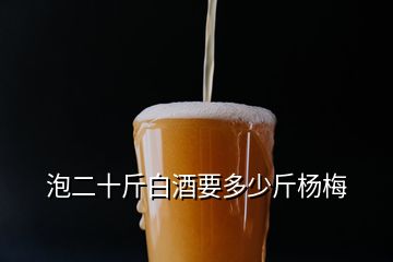 泡二十斤白酒要多少斤楊梅