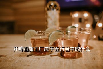 開啤酒加工廠屬于五行當中的什么