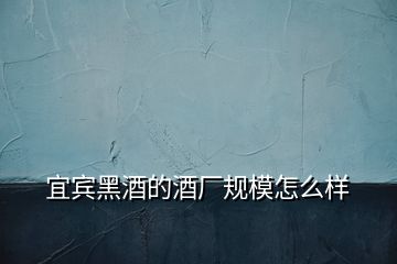 宜賓黑酒的酒廠規(guī)模怎么樣