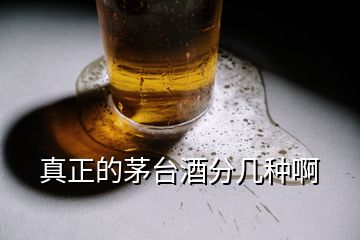 真正的茅臺酒分幾種啊