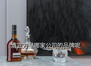 酒立方是哪家公司的品牌呢