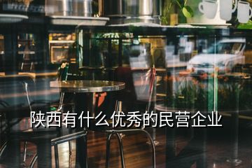 陜西有什么優(yōu)秀的民營企業(yè)