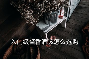 入門級(jí)醬香酒該怎么選購