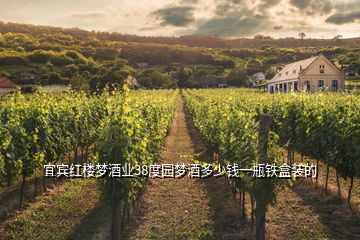 宜賓紅樓夢酒業(yè)38度園夢酒多少錢一瓶鐵盒裝的