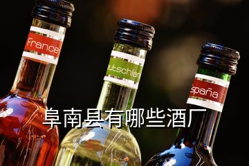 阜南縣有哪些酒廠