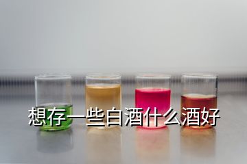 想存一些白酒什么酒好