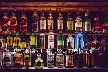 廣東順德酒廠(chǎng)有限公司的老板是誰(shuí)