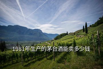 1981年生產(chǎn)的茅臺(tái)酒能賣(mài)多少錢(qián)