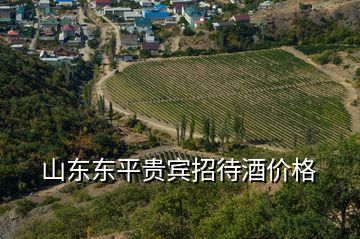 山東東平貴賓招待酒價格