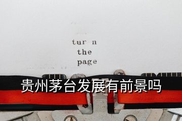 貴州茅臺(tái)發(fā)展有前景嗎