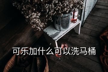 可樂(lè)加什么可以洗馬桶