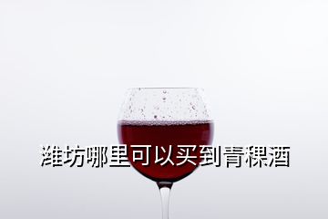 濰坊哪里可以買(mǎi)到青稞酒