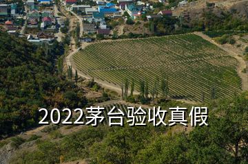 2022茅臺驗收真假