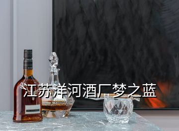 江蘇洋河酒廠夢之藍(lán)