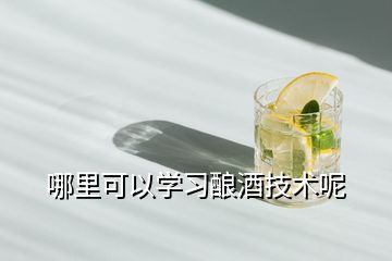 哪里可以學(xué)習(xí)釀酒技術(shù)呢