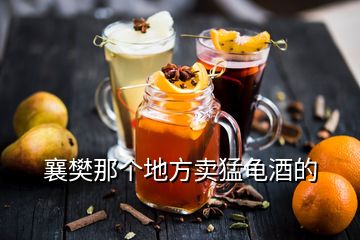 襄樊那個(gè)地方賣猛龜酒的