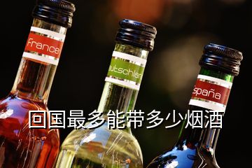 回國最多能帶多少煙酒