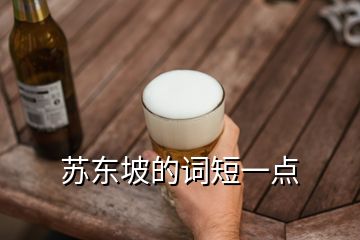 蘇東坡的詞短一點