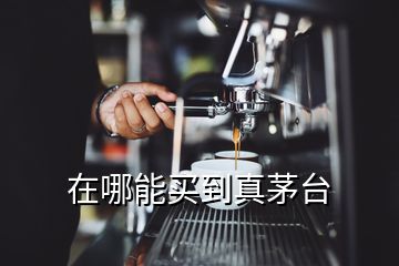 在哪能買(mǎi)到真茅臺(tái)