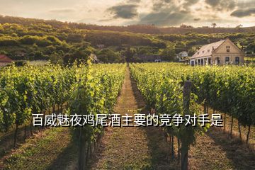 百威魅夜雞尾酒主要的競爭對手是