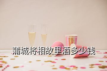 蒲城將相故里酒多少錢