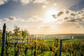 貴州茅臺(tái)酒廠集團(tuán)保健酒業(yè)有限公司生產(chǎn)的53度500ML茅臺(tái)國賓酒醬香型大