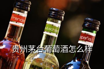 貴州茅臺(tái)葡萄酒怎么樣